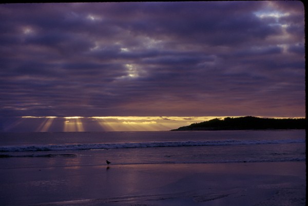 Carmel Bay sunset